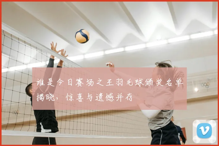 谁是今日赛场之王羽毛球颁奖名单揭晓,惊喜与遗憾并存