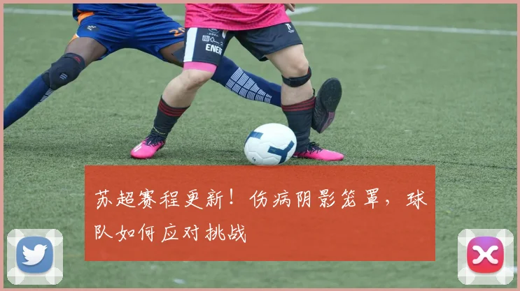 苏超赛程更新！伤病阴影笼罩，球队如何应对挑战