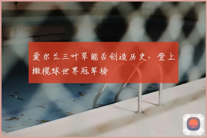 爱尔兰三叶草能否创造历史,登上橄榄球世界冠军榜