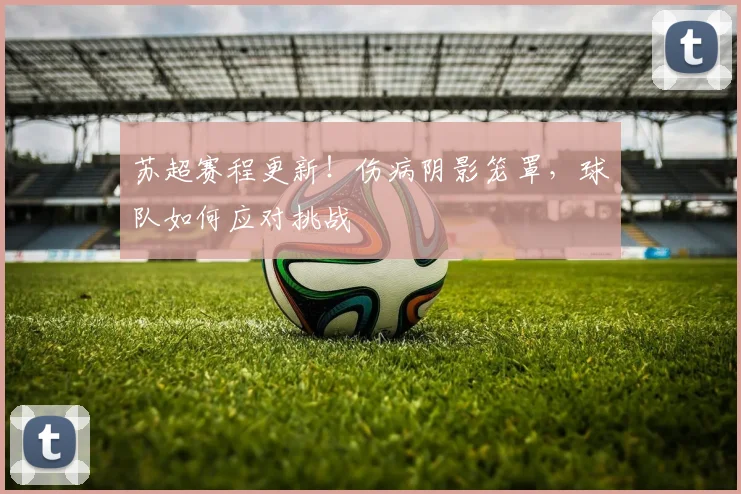 苏超赛程更新！伤病阴影笼罩，球队如何应对挑战