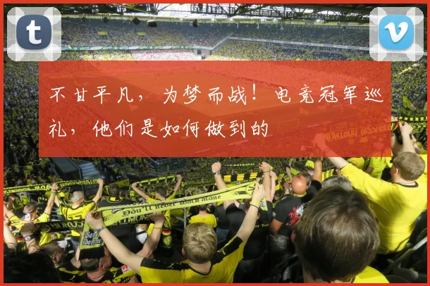 不甘平凡，为梦而战！电竞冠军巡礼，他们是如何做到的